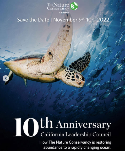 Design about sea turtles and the environment